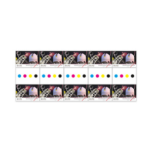 Astronomical Observatories Gutter 10 x $1.70 &ndash; Siding Spring Observatory product photo