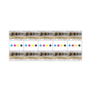 Tasmania's Convict Bridges Gutter Strip 10 x $1.70 &ndash; Ross Bridge product photo