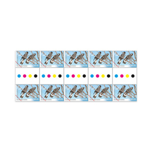 Endangered Birds Gutter Strip 10 x $1.70 - Carnaby's Black Cockatoo product photo