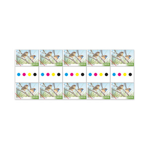 Endangered Birds Gutter Strip 10 x $1.70 - Mallee Emu-Wren product photo