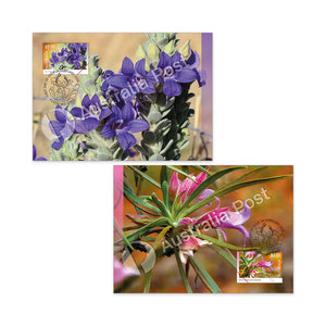 Eremophilas &mdash; Desert Loving Flowers Maxicard (Set of 2) product photo