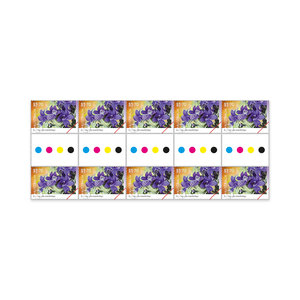 Eremophilas &mdash; Desert Loving Flowers Gutter Strip 10 x $1.70 &mdash; Eremophila Mackinlayi product photo