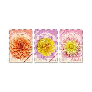 Dahlias Australian Cultivars Stamps (3 x $1.70) product photo