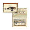William Buelow Gould Sketchbook of Fishes Stamp Pack product photo Internal 1 THUMBNAIL