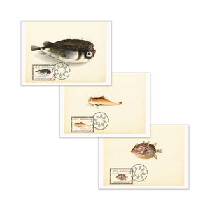 William Buelow Gould Sketchbook of Fishes Maxicard (Set of 3) product photo