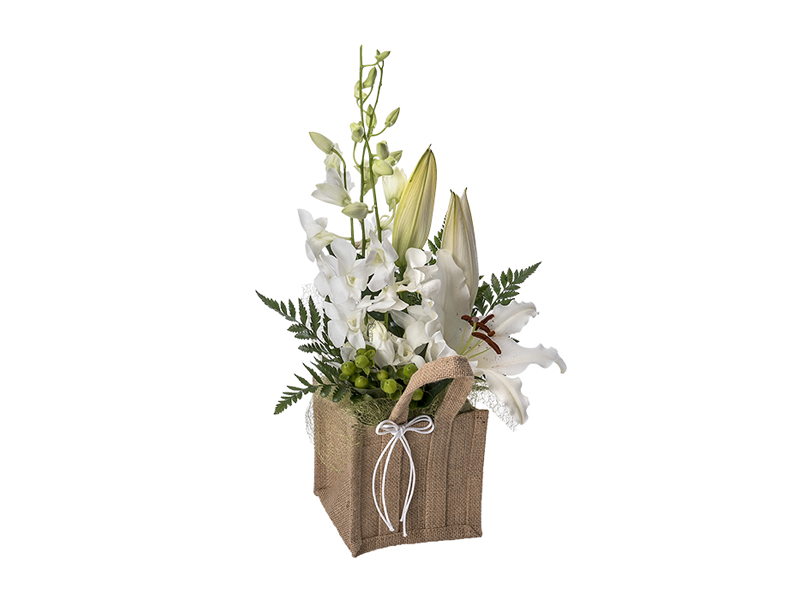 Flower Bouquet - Aster - Flower Delivery