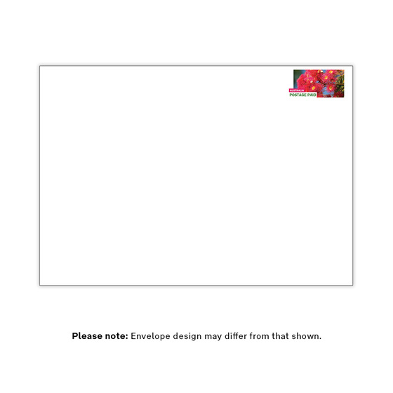 Prepaid Envelope Large (B4) up to 500g &ndash; 10 Pack product photo Internal 2 DETAILS