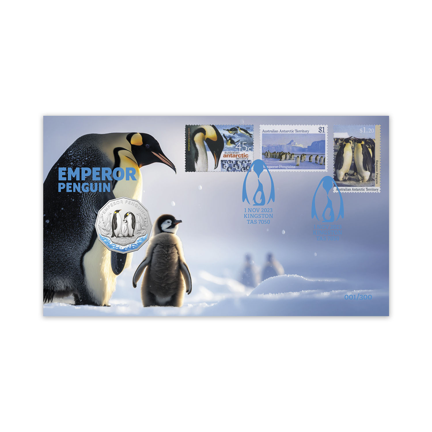 Gentoo penguin – Australian Antarctic Program