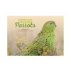 Ground Parrots Limited-Edition Medallion Collection product photo Internal 1 THUMBNAIL