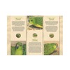 Ground Parrots Limited-Edition Medallion Collection product photo Internal 4 THUMBNAIL