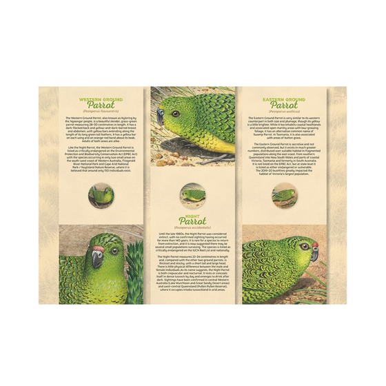 Ground Parrots Limited-Edition Medallion Collection product photo Internal 4 DETAILS