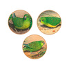 Ground Parrots Limited-Edition Medallion Collection product photo Internal 5 THUMBNAIL
