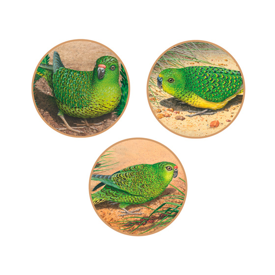Ground Parrots Limited-Edition Medallion Collection product photo Internal 5 DETAILS
