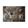 Koalas in Danger Limited-Edtion Medallion Cover  product photo Internal 3 THUMBNAIL
