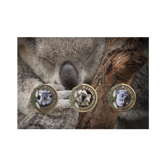 Koalas in Danger Limited-Edtion Medallion Cover  product photo Internal 3 DETAILS