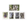 Koalas In Danger Limited-Edition Stamp Collection product photo Internal 2 THUMBNAIL