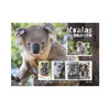 Koalas In Danger Limited-Edition Stamp Collection product photo Internal 5 THUMBNAIL