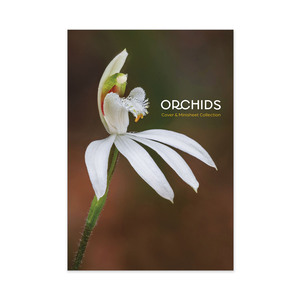 Native Orchid Collection product photo