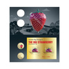 2025 Aussie Big Things 2 Big Strawberry Limited Edition Two Coin and Minisheet Collection product photo Internal 3 THUMBNAIL