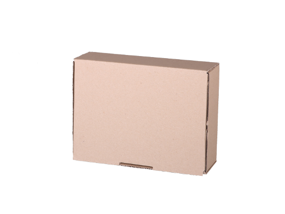 Plain Mailing Box BXP1 (220 x 160 x 77mm) Kraft – 20 Pack