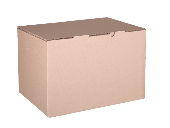 Plain Mailing Box BXP5 (405 x 300 x 255mm) Kraft &ndash; 10 Pack product photo Internal 1 DETAILS