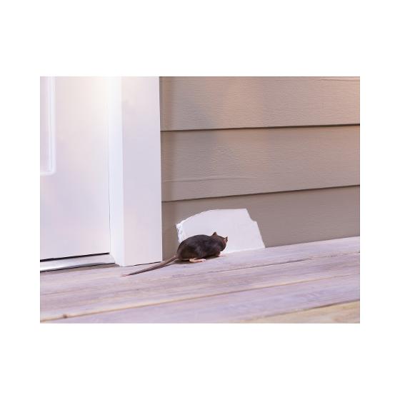 Flex Paste White View all